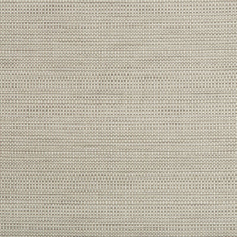 34634.11 by Kravet Contract Designer Fabric Crypton Incase Polyester 58%, Cotton 22%, Rayon 20% USA Heavy Horizontal: see sample and Vertical: see sample 55 inches - Swanky Fabrics -