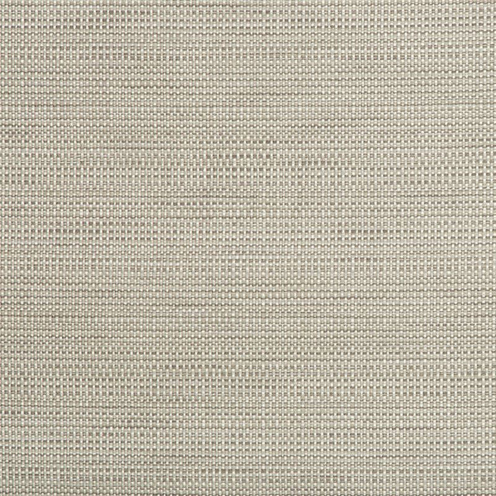 34634.11 by Kravet Contract Designer Fabric in our sample Polyester 58%, Cotton 22%, Rayon 20% USA Heavy Horizontal: See Sample and Vertical: See Sample 55 inches - Swanky Fabrics -
