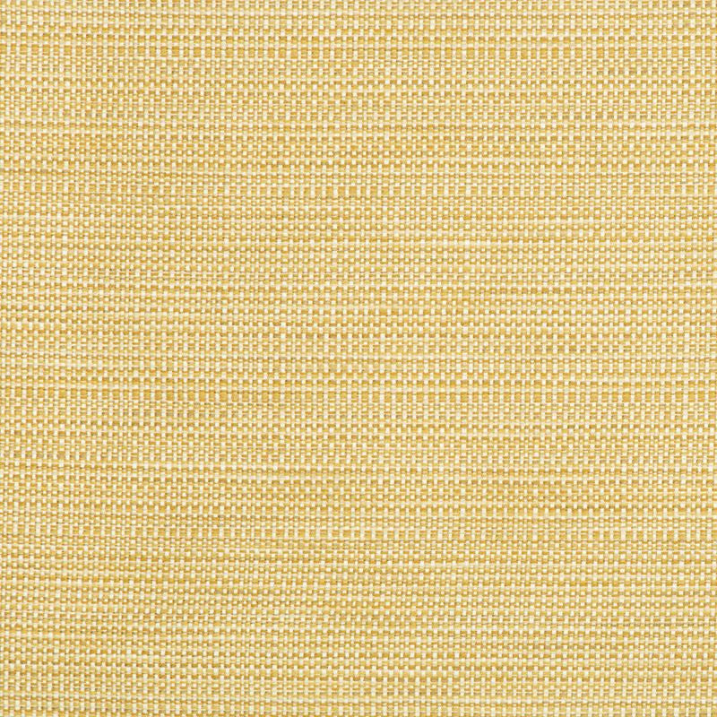 34634.416 by Kravet Contract Designer Fabric in our sample Polyester 58%, Cotton 22%, Rayon 20% USA Heavy Horizontal: See Sample and Vertical: See Sample 55 inches - Swanky Fabrics -