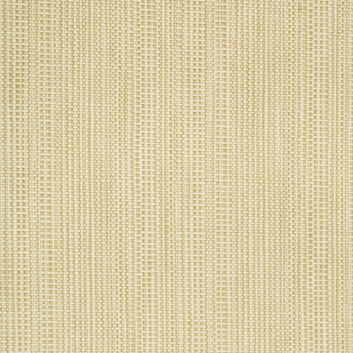 34634-16 by Kravet Contract Fabric CRYPTON INCASE POLYESTER - 58%;COTTON - 22%;RAYON - 20% United States HEAVY Horizontal: 0 and Vertical: 0 55 - Fabric Carolina -