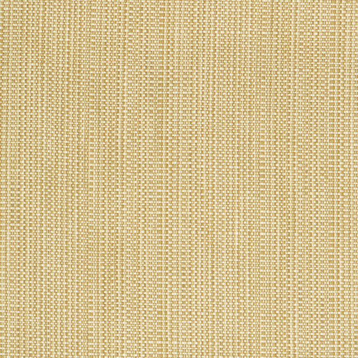 34634-416 by Kravet Contract Designer Fabric CRYPTON INCASE POLYESTER - 58%;COTTON - 22%;RAYON - 20% United States HEAVY Horizontal: 0 and Vertical: 0 55 - Swanky Fabrics -