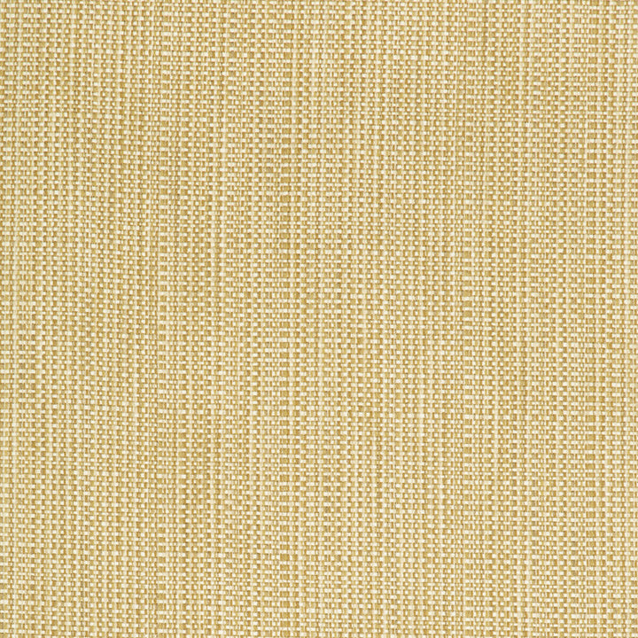 34634-416 by Kravet Contract Fabric CRYPTON INCASE POLYESTER - 58%;COTTON - 22%;RAYON - 20% United States HEAVY Horizontal: 0 and Vertical: 0 55 - Fabric Carolina -
