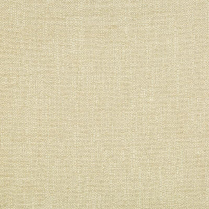 34636.11 by Kravet Contract Designer Fabric Crypton Incase Rayon 79%, Polyester 21% USA Heavy Horizontal: see sample and Vertical: see sample 58 inches - Swanky Fabrics -