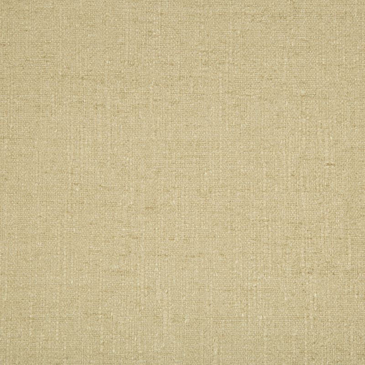 34636.16 by Kravet Contract Designer Fabric in our sample Rayon 79%, Polyester 21% USA Heavy Horizontal: See Sample and Vertical: See Sample 58 inches - Swanky Fabrics -