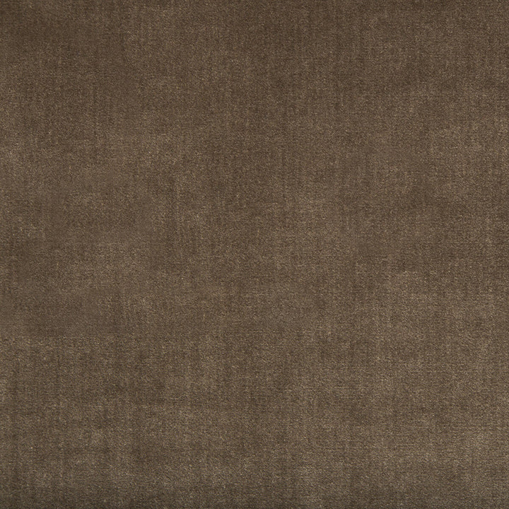 Duchess Velvet Mink by Kravet Couture Designer Fabric - SILK - 51%;COTTON - 49% Italy MEDIUM Horizontal: 0 and Vertical: 0 55 - Swanky Fabrics -