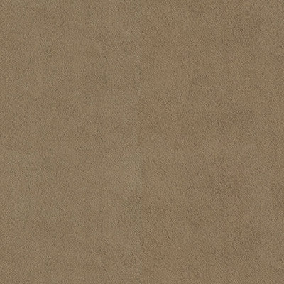 Kravet Basics 34642-106 by Kravet Basics Fabric