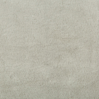 Kravet Basics 34642-11 by Kravet Basics Fabric