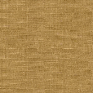 Leisure Chino by Kravet Design Fabric