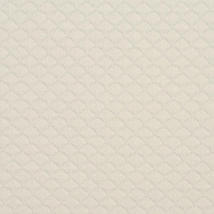 3464 Shell by Charlotte Fabric