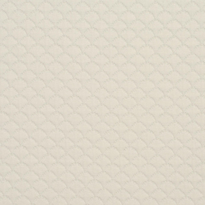 3464 Shell by Charlotte Fabric Naturally Naturals III 69% Cotton, 31% Polyester Asia Exceeds 120,000 Wyzenbeek Rubs (Heavy Duty) </p><p>Repeat: Horizontal: 3.25" x Vertical: 3.25" 54 Inches - Fabric Carolina -