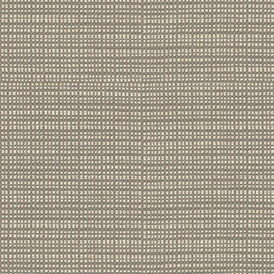 Resolve Pearl by Kravet Contract Fabric
