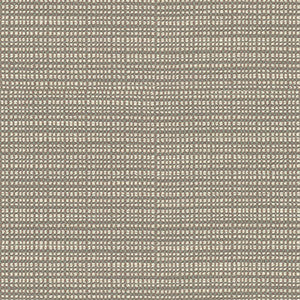 Resolve Pearl by Kravet Contract Fabric