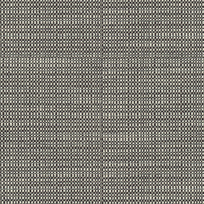 Resolve Domino by Kravet Contract Fabric
