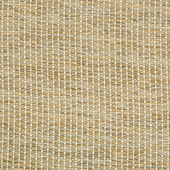 34665.411 by Kravet Design Designer Fabric Gis Rayon 85%, Cotton 14%, Nylon 1% USA Heavy Horizontal: see sample and Vertical: see sample 55.5 inches - Swanky Fabrics -