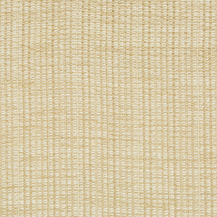 34665-16 by Kravet Design Fabric GIS RAYON - 85%;COTTON - 14%;NYLON - 1% United States HEAVY Horizontal: - and Vertical: - 55.5 - Fabric Carolina -