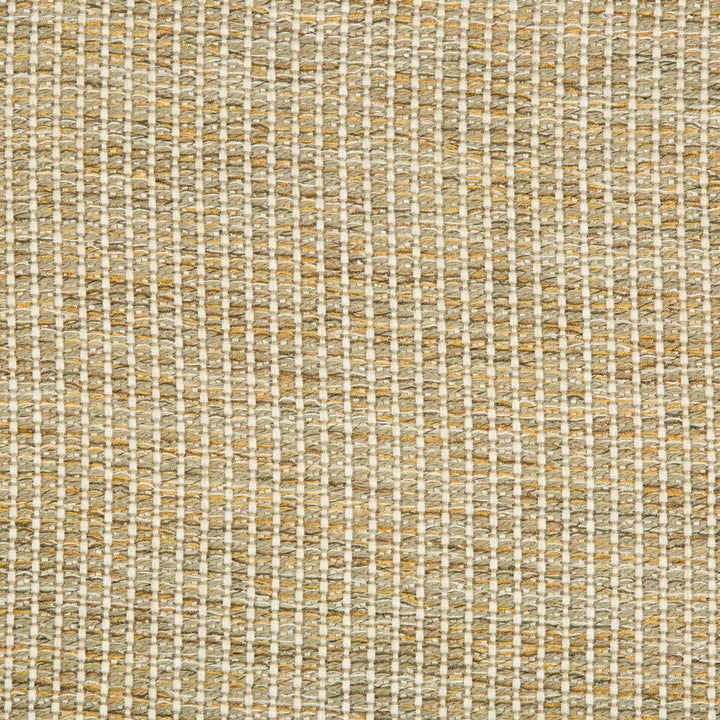 34665-411 by Kravet Design Fabric GIS RAYON - 85%;COTTON - 14%;NYLON - 1% United States HEAVY Horizontal: - and Vertical: - 55.5 - Fabric Carolina -