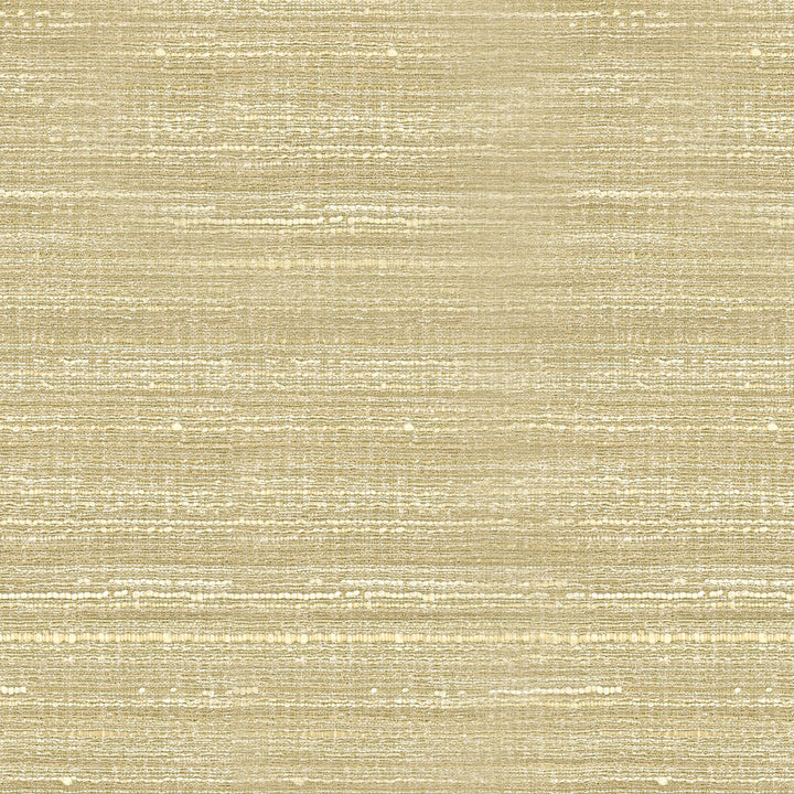 34672-116 by Kravet Basics Fabric POLYESTER - 75%;VISCOSE - 25% India HEAVY Horizontal: and Vertical: 54 - Fabric Carolina -
