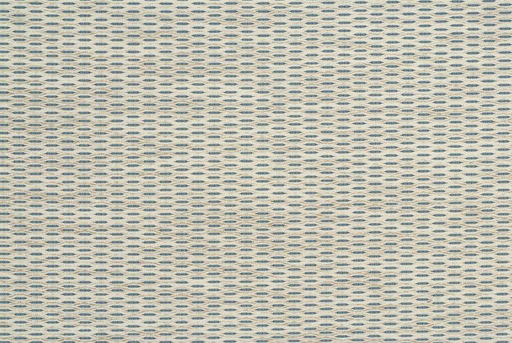 34698.15 by Kravet Design Designer Fabric Crypton Home Cotton 75%, Rayon 14%, Polyester 11% USA Heavy Horizontal: 1.25 inches and Vertical: see sample 56.25 inches - Swanky Fabrics -