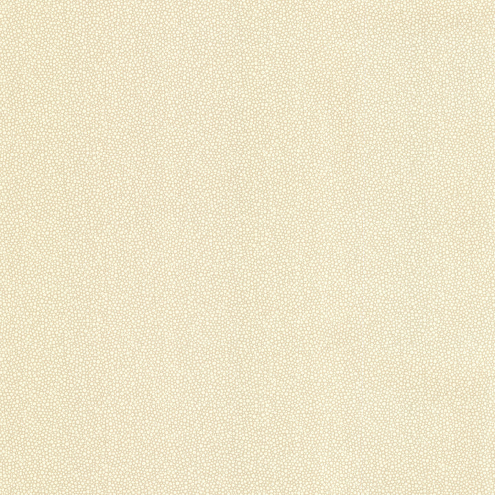 Collishaw Beige Shiny Bubble Texture Wallpaper by Brewster Kitchen & Bath Resource III Covers about 56.4 square feet 20.5-in by 33-ft long roll Prepasted 21 - Fabric Carolina -