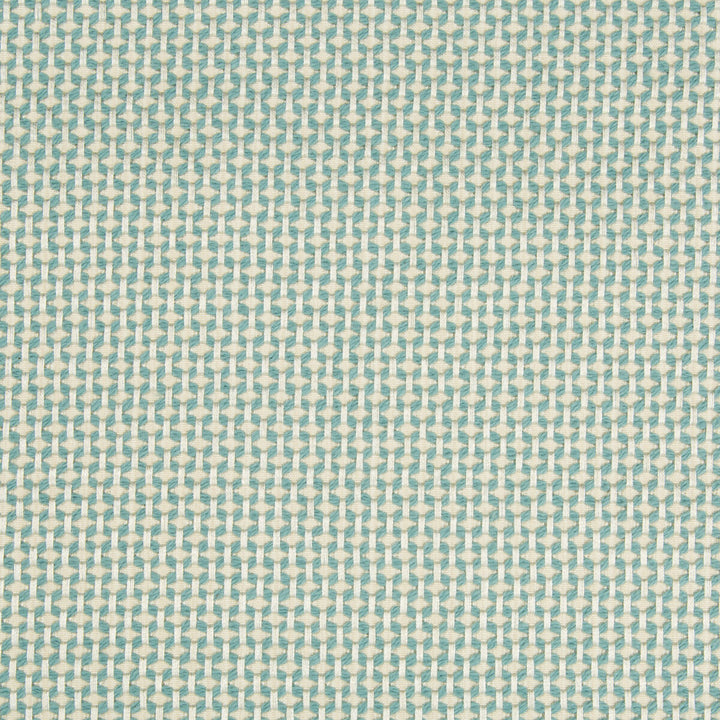 34716-1613 by Kravet Design Fabric GIS COTTON - 57%;RAYON - 41%;RECYCLED POLYESTER - 2% United States HEAVY Horizontal: 0 and Vertical: 0 56.5 - Fabric Carolina -