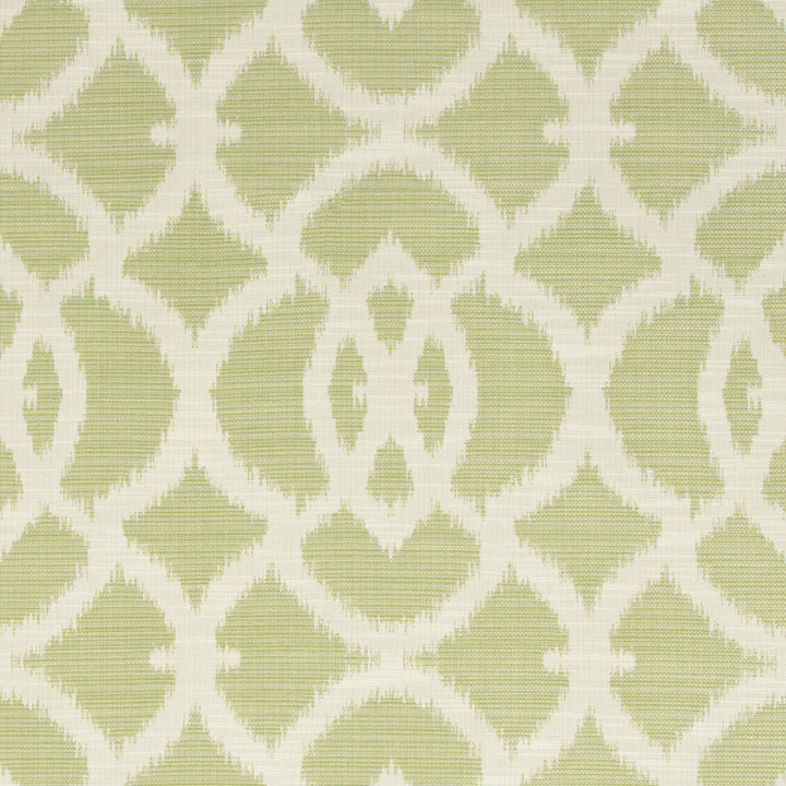 34721-13 by Kravet Design Fabric GIS RAYON - 56%;COTTON - 44% United States HEAVY Horizontal: 9.5 and Vertical: 12.625 57.5 - Fabric Carolina -