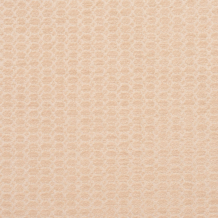3472 Opal by Charlotte Fabric Naturally Naturals III 100% Woven Polyester Asia Exceeds 60,000 Wyzenbeek Rubs (Heavy Duty) Horizontal: .5" x Vertical: .5" 54 Inches - Fabric Carolina -