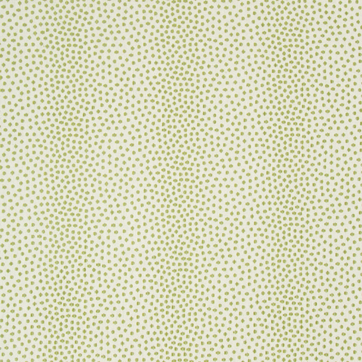 Kravet Contract 34748-13 by Kravet Contract Fabric Kravet Contract Fabric Kravet Contract 34748-13Fabric CRYPTON INCASE POLYESTER - 75%;COTTON - 25% United States </p><p>Repeat: H: 3.563, V: 9.063 55.75 - Fabric Carolina -