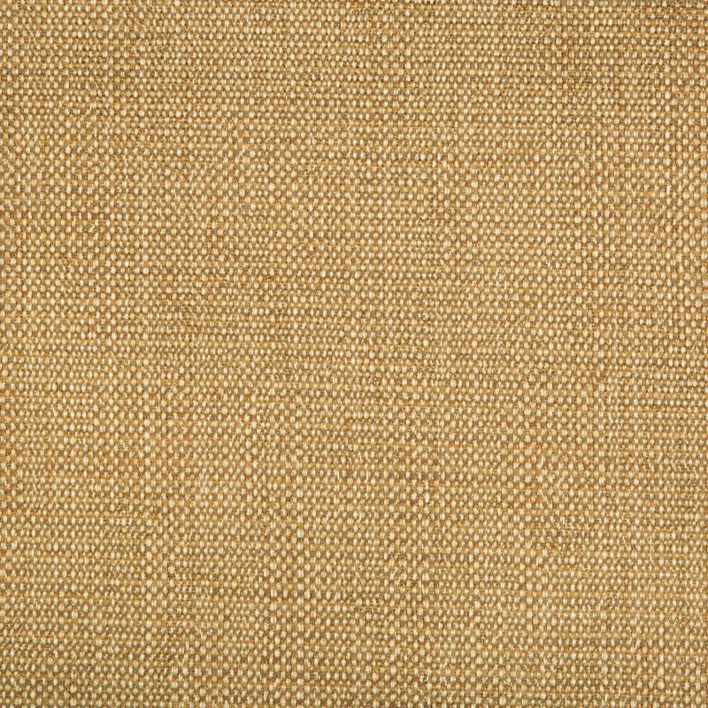 34768.616 by Kravet Contract Designer Fabric Gis Rayon 78%, Cotton 21%, Nylon 1% USA Heavy Horizontal: see sample and Vertical: see sample 58 inches - Swanky Fabrics -