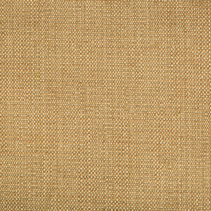 34768-616 by Kravet Contract Designer Fabric GIS RAYON - 78%;COTTON - 21%;NYLON - 1% United States HEAVY Horizontal: and Vertical: 58 - Swanky Fabrics -