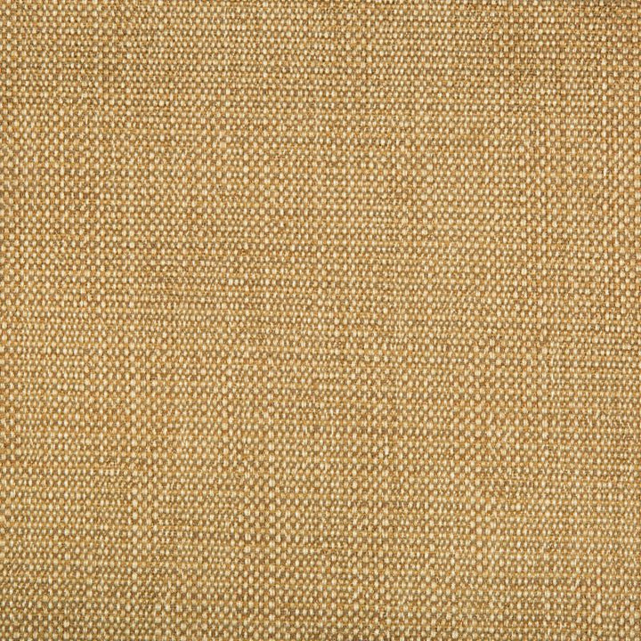 34774.616 by Kravet Design Designer Fabric Gis Rayon 78%, Cotton 21%, Nylon 1% USA Heavy Horizontal: see sample and Vertical: see sample 58 inches - Swanky Fabrics -