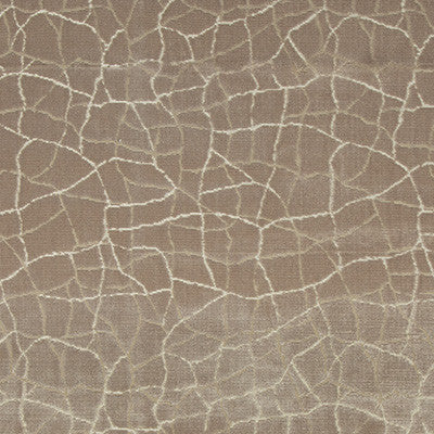 Formation Fawn by Kravet Couture Fabric