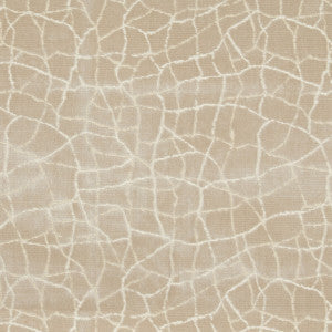 Formation Champagne by Kravet Couture Fabric
