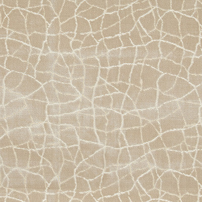 Formation Champagne by Kravet Couture Fabric