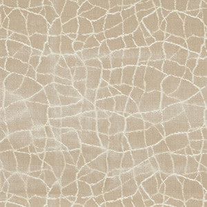 Formation Champagne by Kravet Couture Fabric