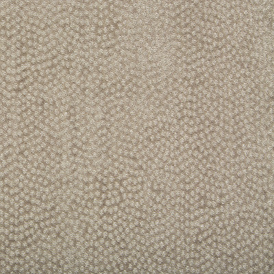 Lustrous Light Dusk by Kravet Couture Fabric