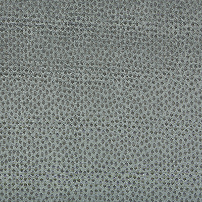 Lustrous Light Poseidon by Kravet Couture Fabric