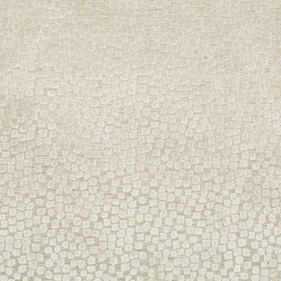 Flurries Stone by Kravet Design Fabric
