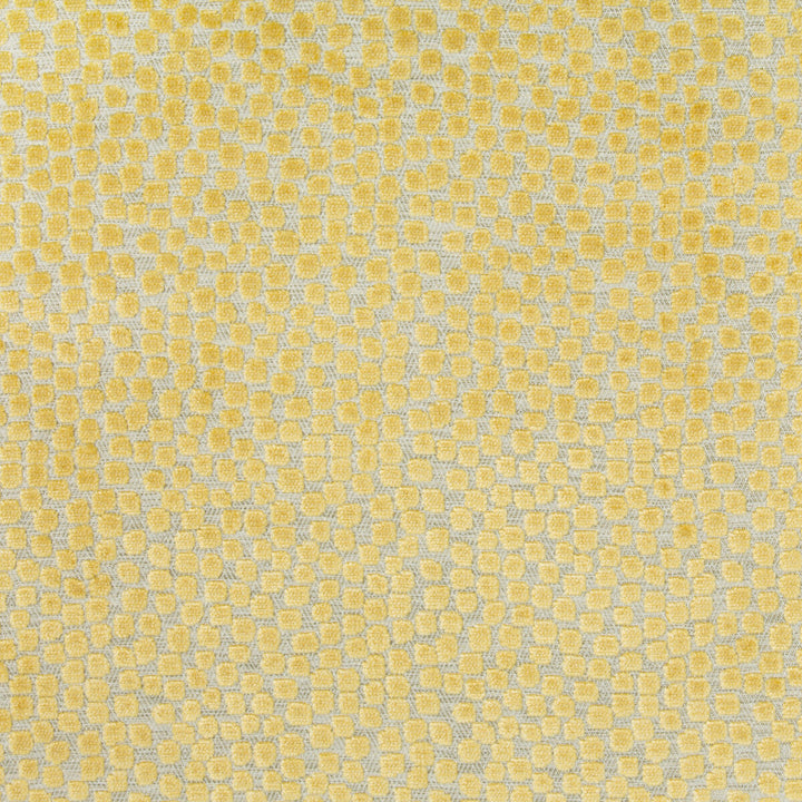 Flurries Citrine by Kravet Design Fabric THOM FILICIA ALTITUDE POLYESTER - 50%;VISCOSE - 50% India HEAVY Horizontal: 7 and Vertical: 5.25 54 - Fabric Carolina -