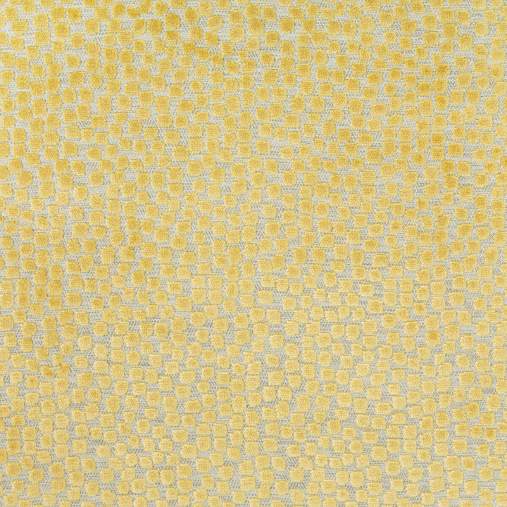 Flurries Citrine by Kravet Design Designer Fabric THOM FILICIA ALTITUDE POLYESTER - 50%;VISCOSE - 50% India HEAVY Horizontal: 7 and Vertical: 5.25 54 - Swanky Fabrics -