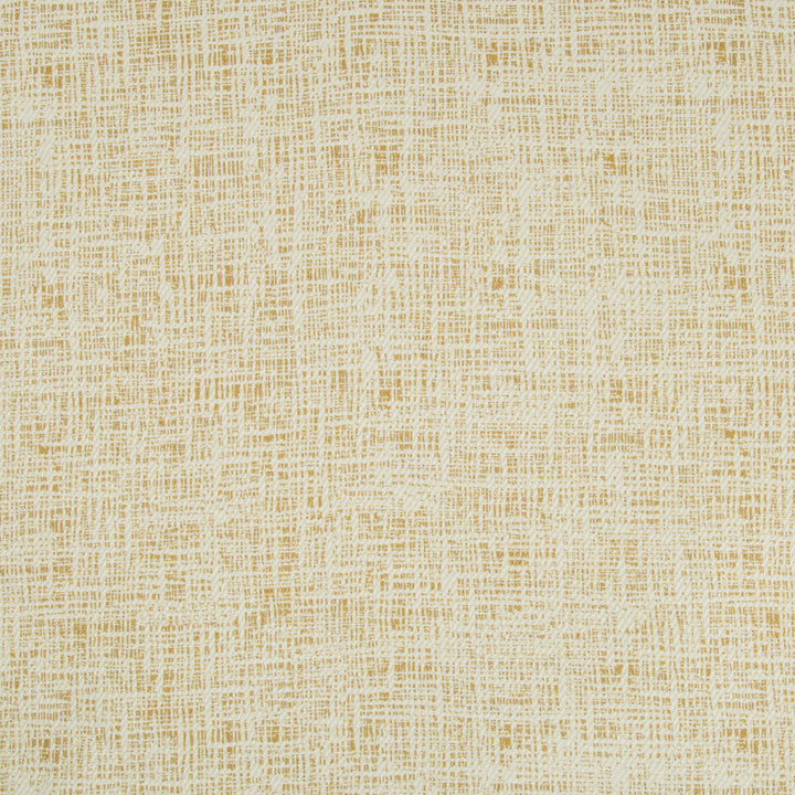 Ether Citrine by Kravet Basics Fabric THOM FILICIA ALTITUDE POLYESTER - 100% China HEAVY Horizontal: 14.25 and Vertical: 14 54 - Fabric Carolina -