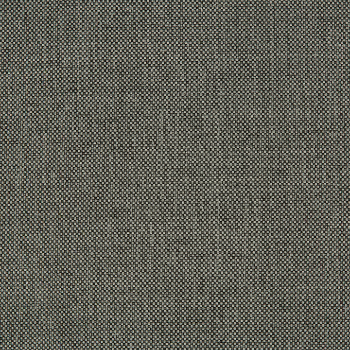 Jinx Charcoal by Kravet Basics Fabric THOM FILICIA ALTITUDE POLYPROPYLENE - 100% Turkey MEDIUM Horizontal: - and Vertical: - 54 - Fabric Carolina -
