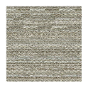 Helm Pebble by Kravet Design Fabric