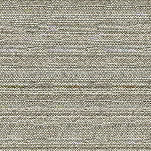 Helm Pebble by Kravet Design Fabric