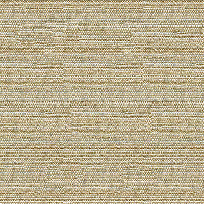 Helm Dune by Kravet Design Fabric