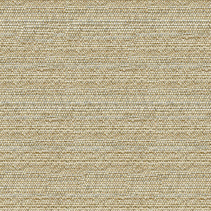 Helm Dune by Kravet Design Fabric