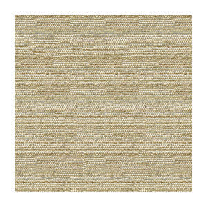 Helm Dune by Kravet Design Fabric
