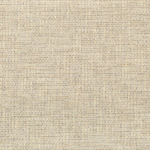 Walk About Pebble by Kravet Couture Fabric
