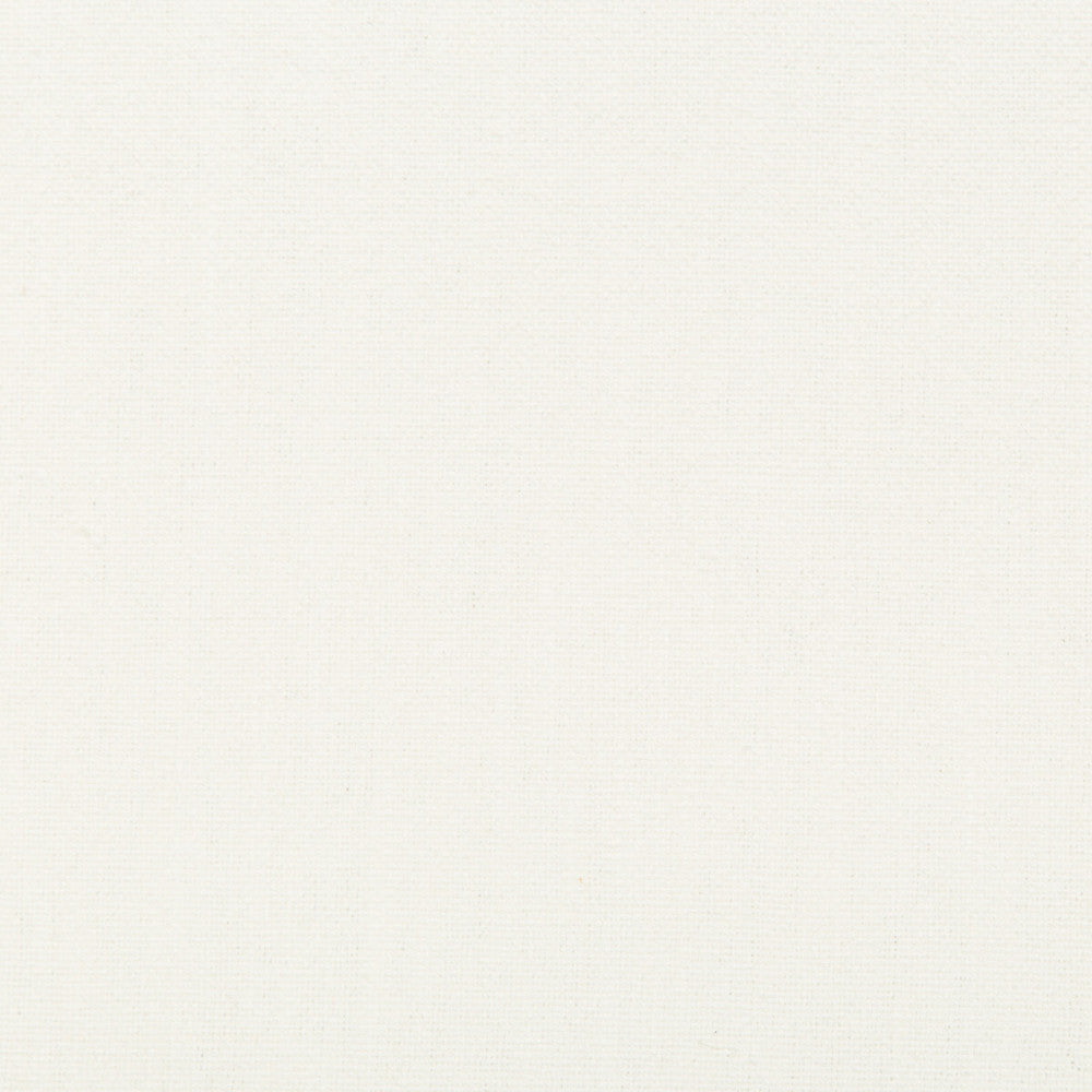 34894-101 by Kravet Basics Fabric LINEN - 55%;COTTON - 45% China HEAVY Horizontal: 0 and Vertical: 0 54 - Fabric Carolina -