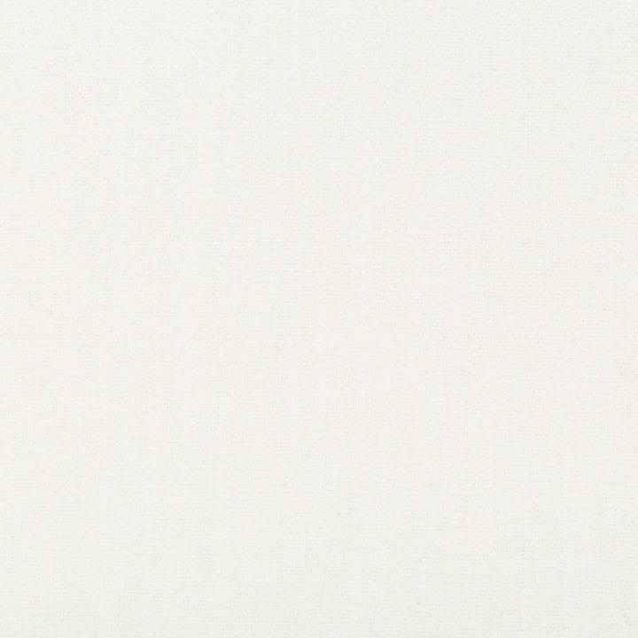 34894-101 by Kravet Basics Fabric LINEN - 55%;COTTON - 45% China HEAVY Horizontal: 0 and Vertical: 0 54 - Fabric Carolina -