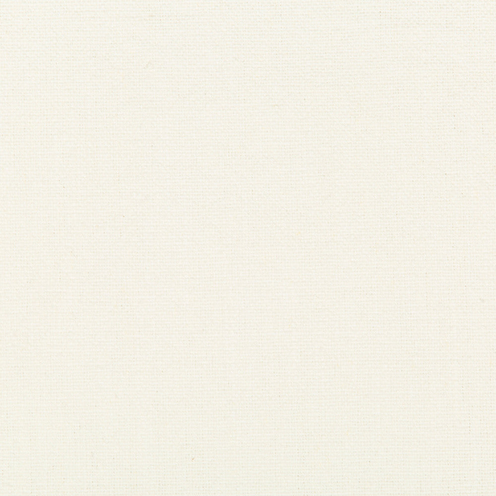 34894-1 by Kravet Basics Fabric - LINEN - 55%;COTTON - 45% China HEAVY Horizontal: 0 and Vertical: 0 54 - Fabric Carolina -